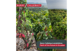 Barry Callebaut establishes Farm of the Future to power cocoa farming research and innovation