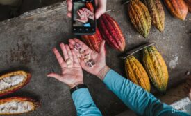 Luker Chocolate achieves B Corp status