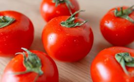 T. Hasegawa launches Boostract flavor modifier to help mitigate tomato shortages