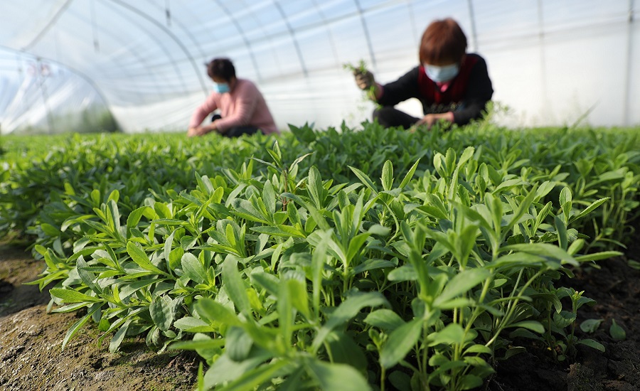 Tate & Lyle lands Prime ESG corporate rating from sustainability agency