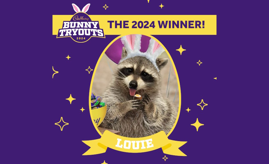 Cadbury reveals 2024 Cadbury Bunny Tryouts winner Louie the raccoon