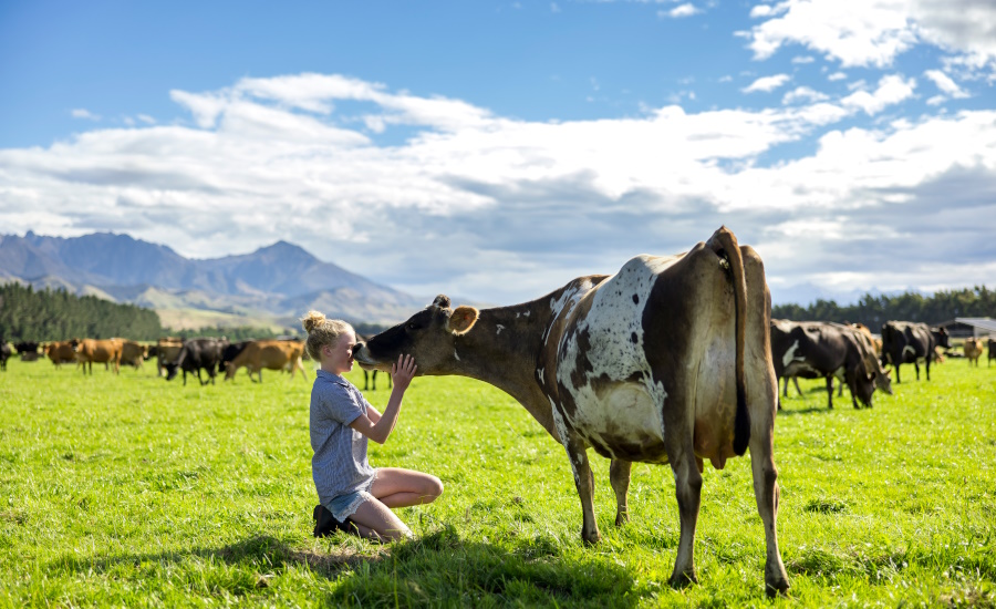 Mars debuts multi-million dollar sustainable dairy plan