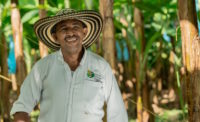 Fairtrade Foundation asks UK government to promote fair trade practices