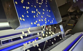 Key Technology debuts optical sorters for nuts