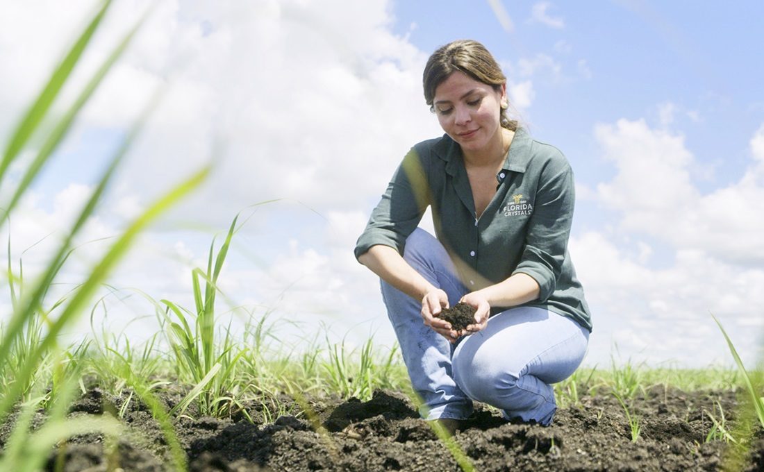 Florida Crystals harnesses regenerative agriculture