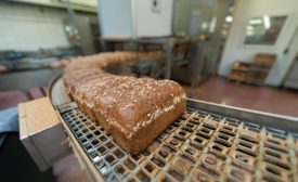 New ingredients deliver nutritional and functional benefits for snack and bakery products