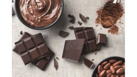 Florida Food Products debuts collection of new cocoa flavors