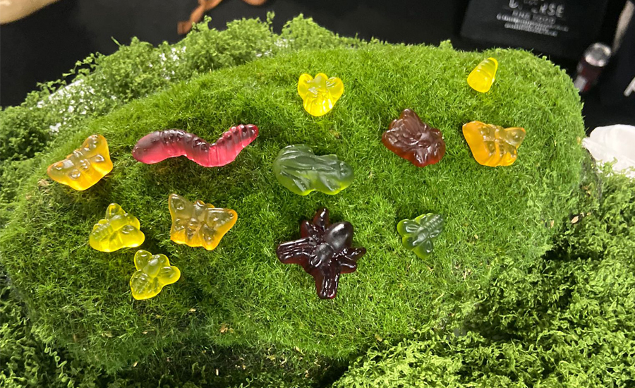 Wild Thingz gummies