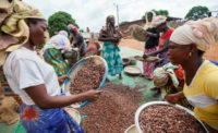 Fairtrade cocoa