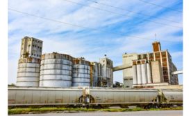 LifeLine Foods completes $12M Masa mill expansion construction project