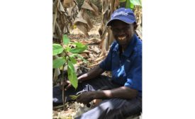 Guittard Chocolate Company adds Cultivate Better Cocoa Partner Program to sustainability initiative