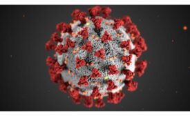 coronavirus default image covid-19